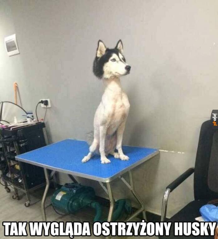 Nie róbcie mu tego...
