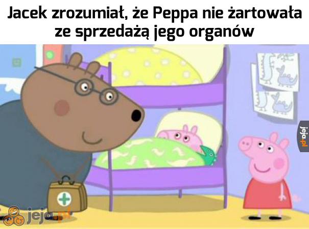 Niestety było już za późno