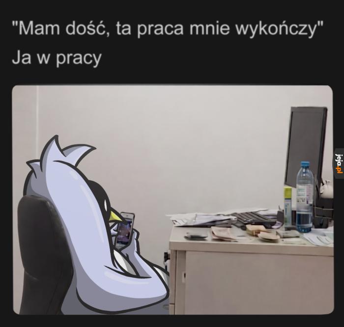 Pot się leje z czoła