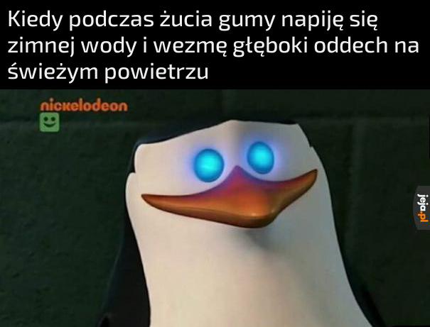 Rel