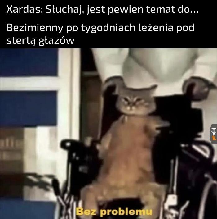 Jeżeli nie będzie drabin, to wchodzę