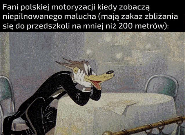 Tak to już z nimi jest