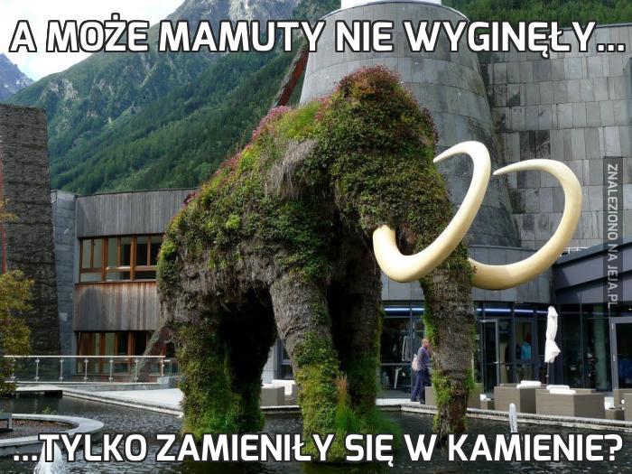 A może mamuty nie wyginęły...