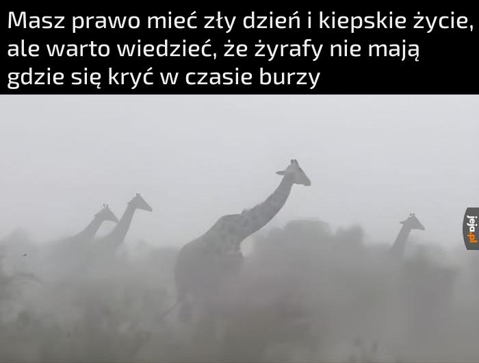 Czasem łatwiej być małym
