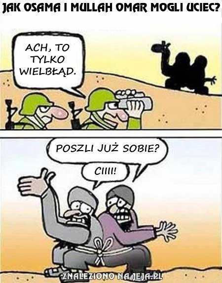 To nie wielbłąd...