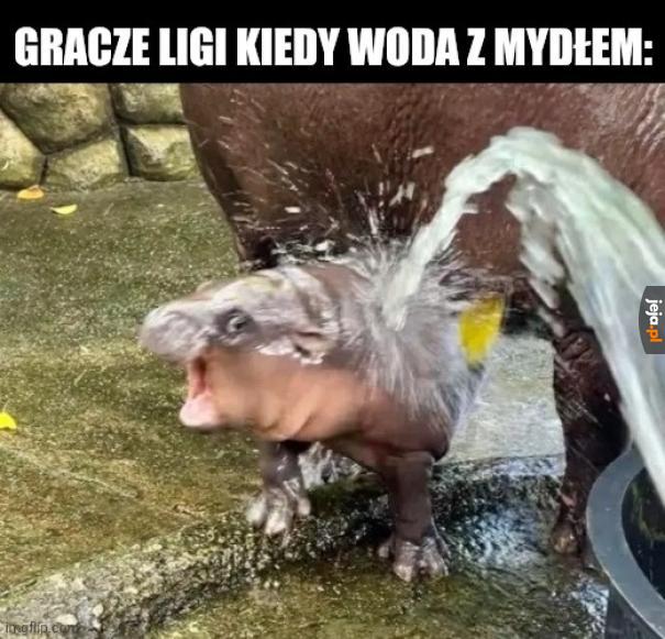 Pachną gorzej niż oscypek