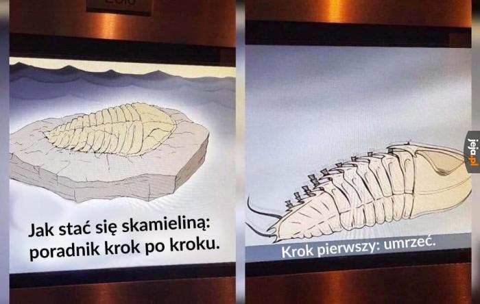 To rozumiem