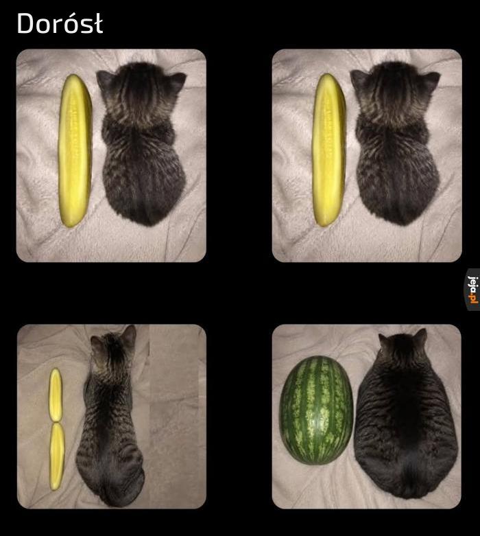 Nasz mały chłopiec dorasta