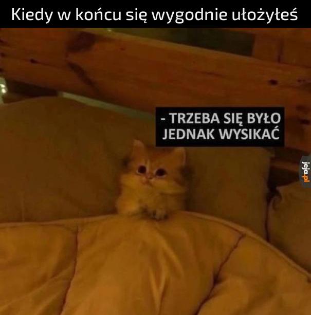 Za każdym zrazem