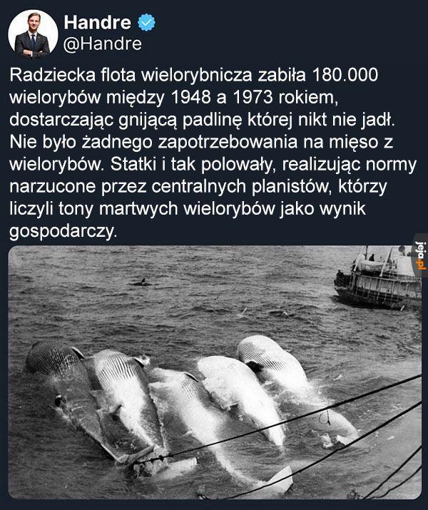 Wydajna gospodarka