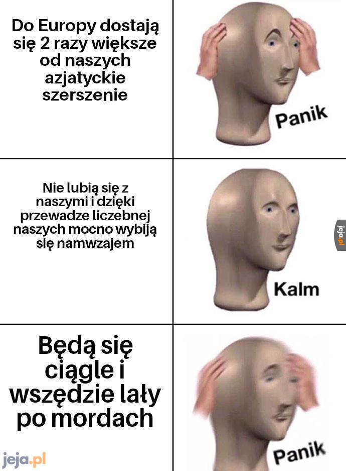 Lepiej im nie przeszkadzać