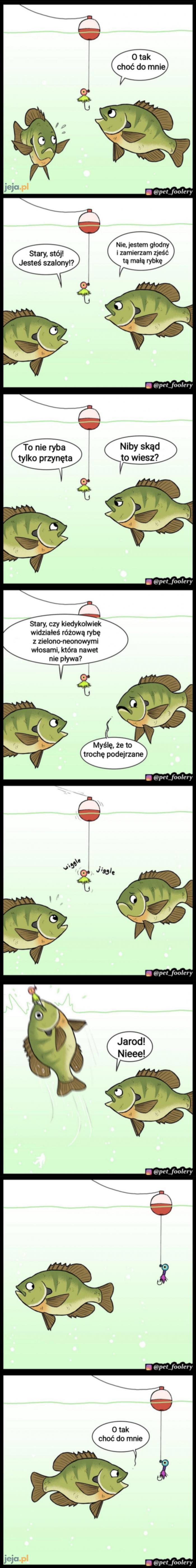 Logika ryb