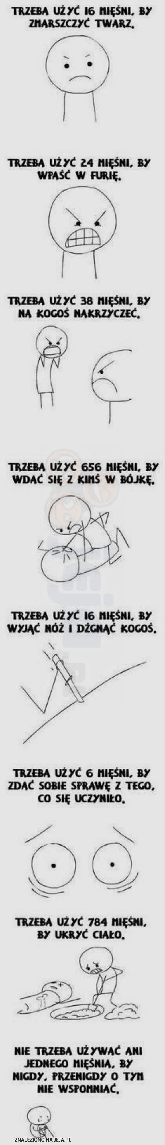 Mięśnie