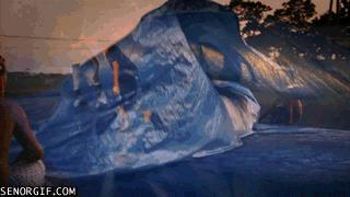 Surfing na sucho