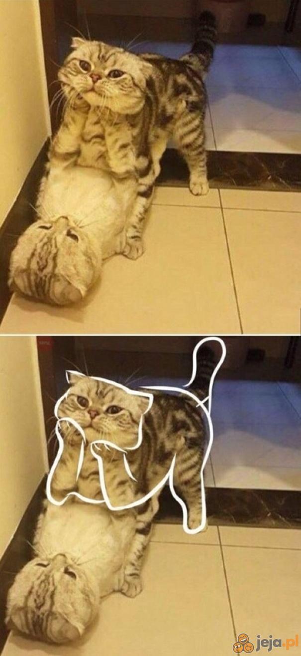 Tak to widzę