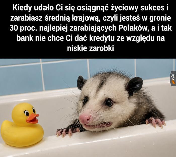 Życie nie rozpieszcza