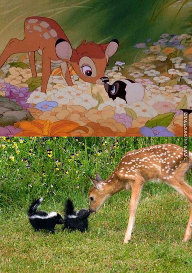 Bambi i nowi koledzy