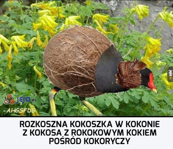 Rozkoszna kokoszka