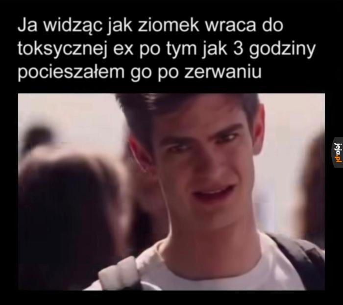 Szkoda strzępić ryja