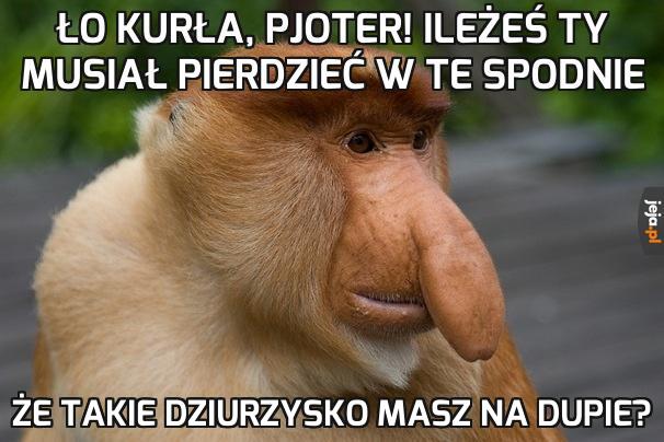 Matka Ci zaszyje