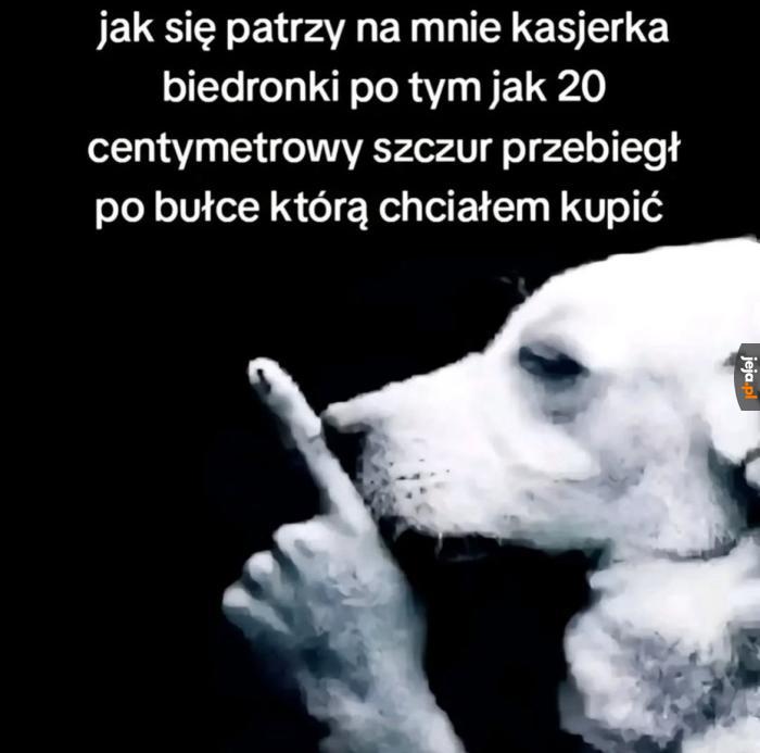 Nic tutaj nie widziałeś