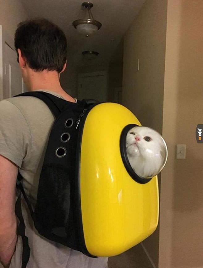 Plecak na koty