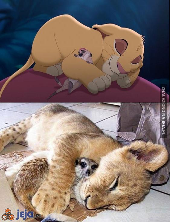 Hakuna matata!