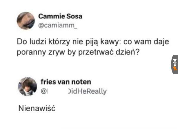 Nienawiść mnie prowadzi