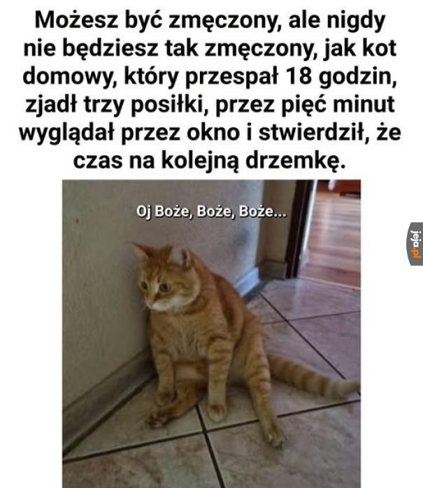 Poszłabym spać