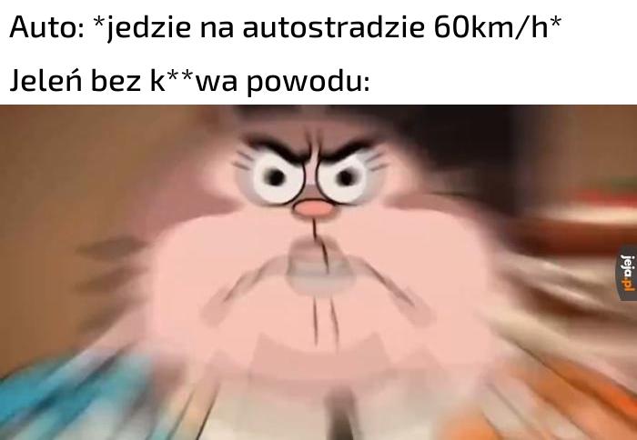 D E E E E E E E E E E E E E E E E R