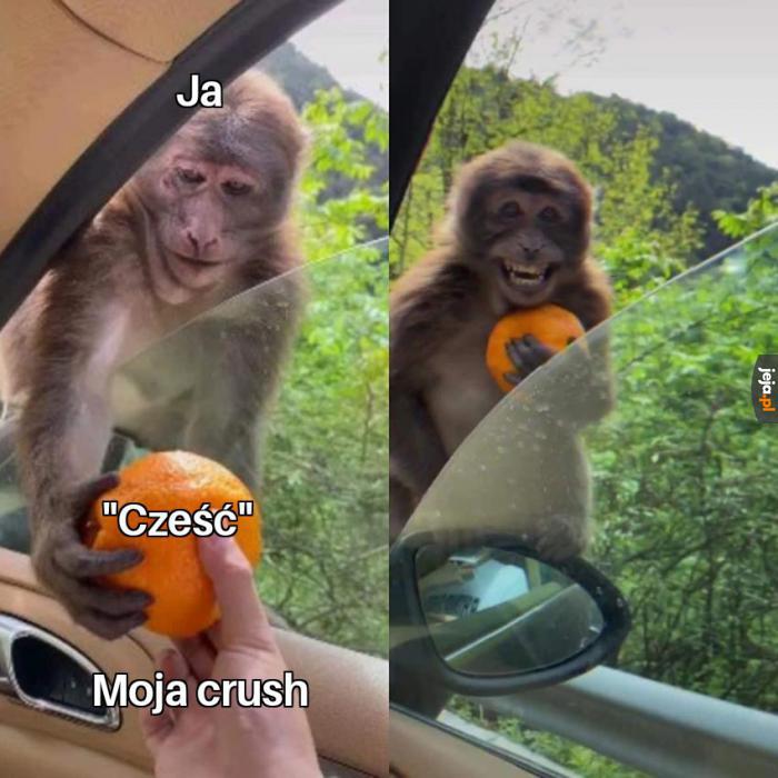 Tak niewiele, a jednak tak wiele