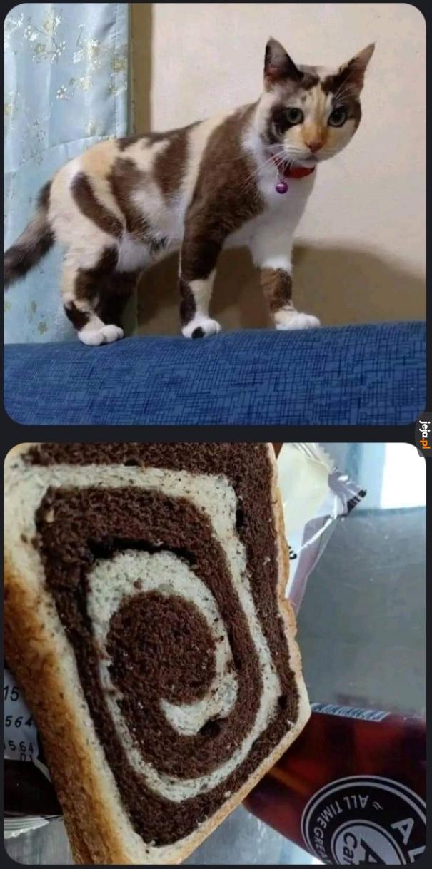 KITKUUU!!! NIE!!!