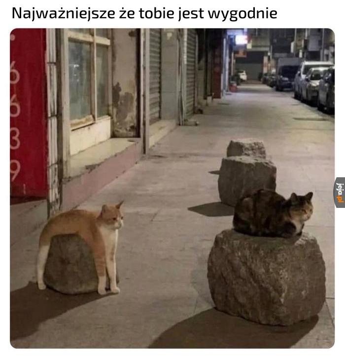 Nie oceniam