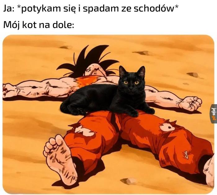 *mruczy*