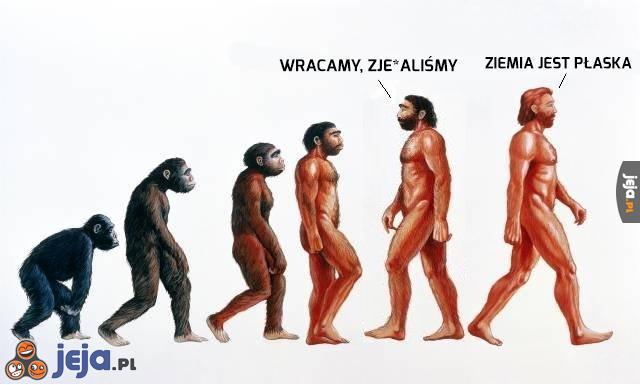 Ewolucja na miarę XXI wieku