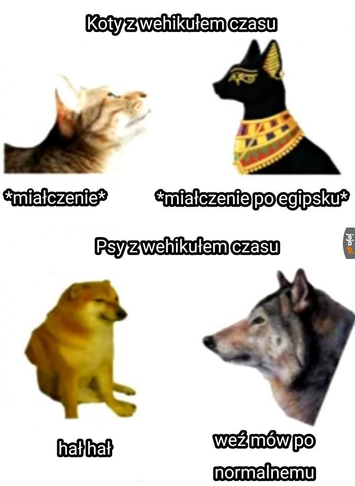 Wyjaśnienie w komentarzach