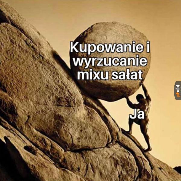 Krąg życia