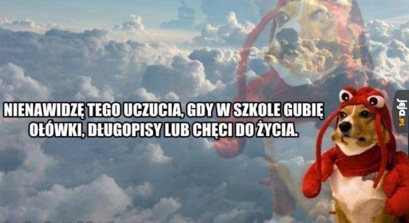 Chęci do życia