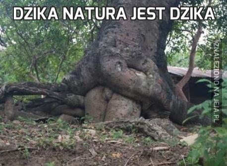 Dzika natura jest dzika