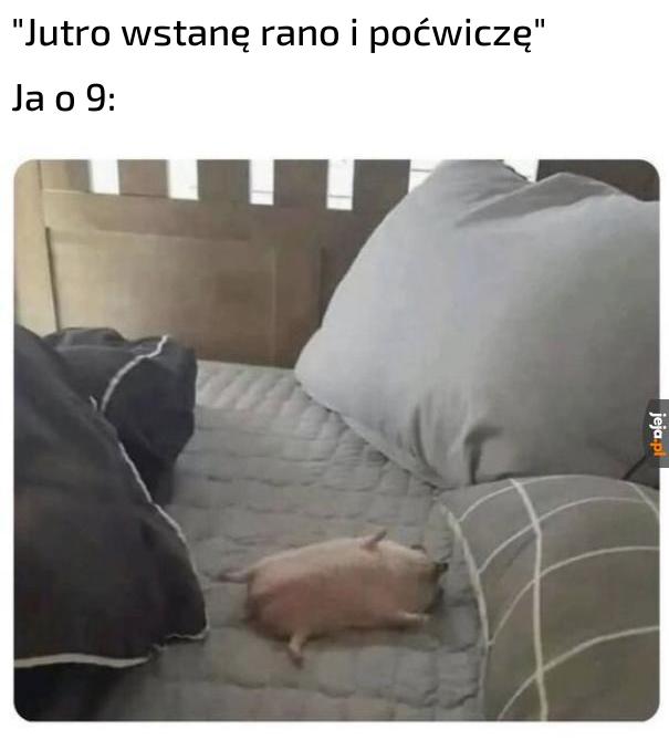 Raczej nie poćwiczę