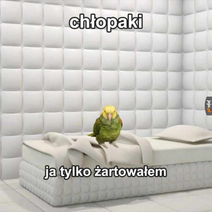 Wypuśćcie mnie