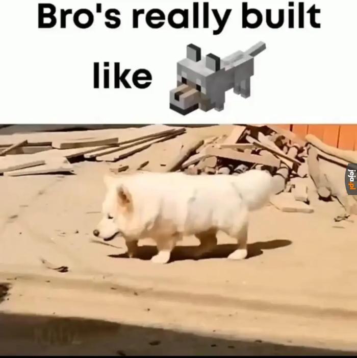 Doggo