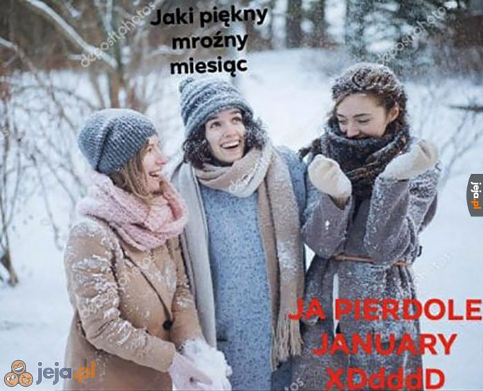 Kiedyś to były tylko koniary