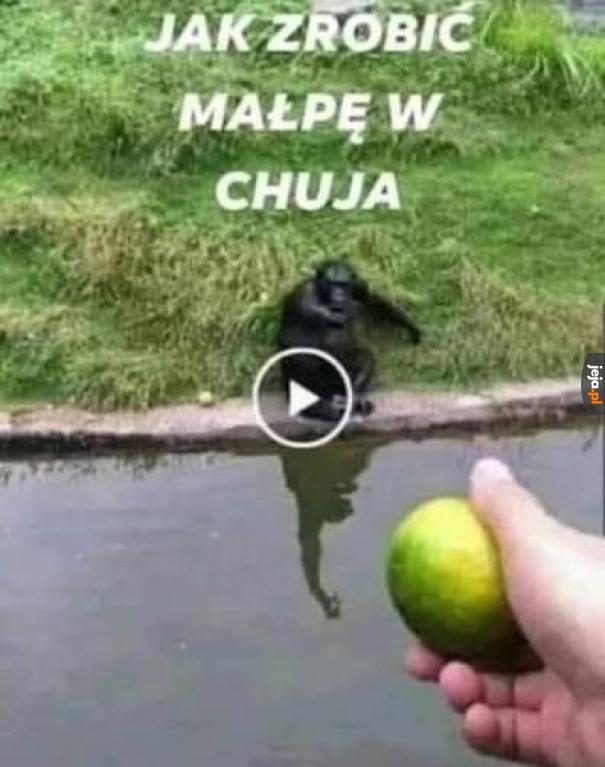 Sam tytuł mnie bawi xd