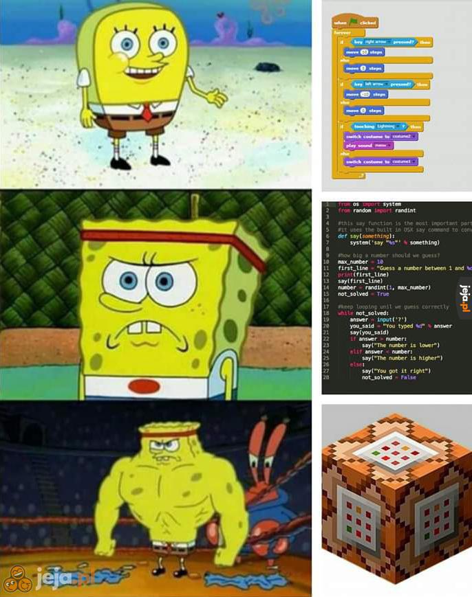 Wyższy poziom informatyki