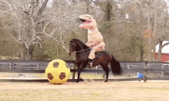 Taki tam, tyranozaur na koniu