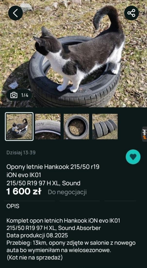 Jak bez kotka to nie biorę