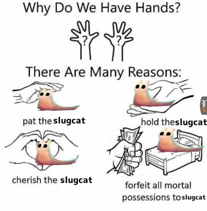 śluzuś