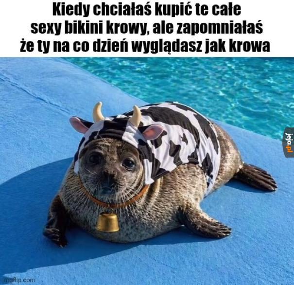 Tłuszczyk się wylewa