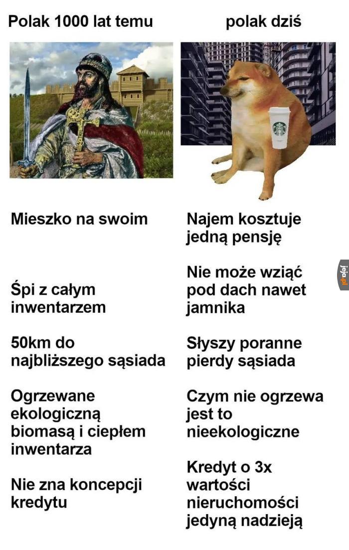 Mieszko 1 był Based